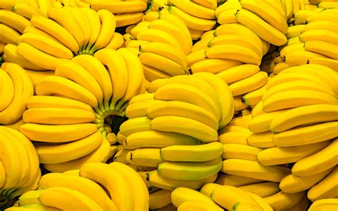 banane banane banane banane banane